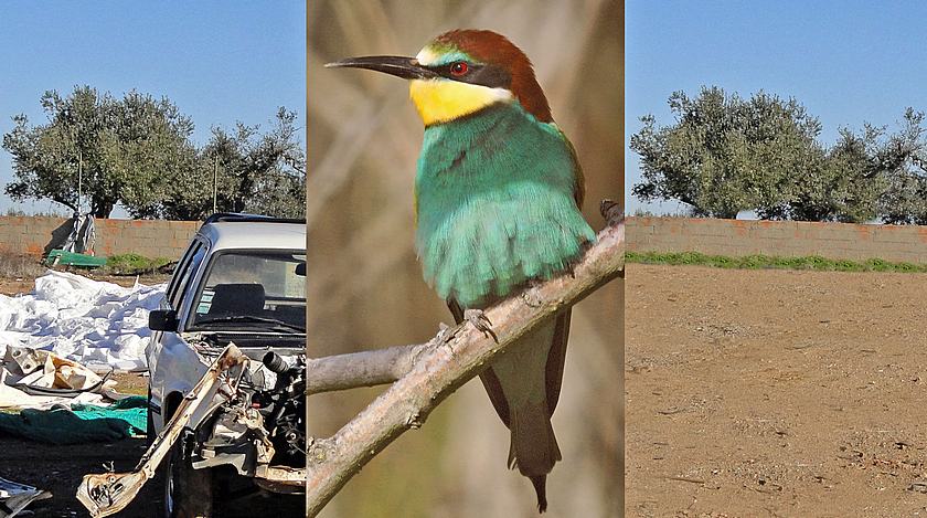 Plano Regional de Fiscalização Ambiental do Alentejo/2017