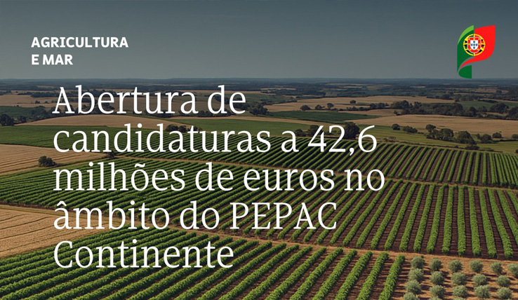Abertura de candidaturas a 42,6 milhões de euros no âmbito do PEPAC 