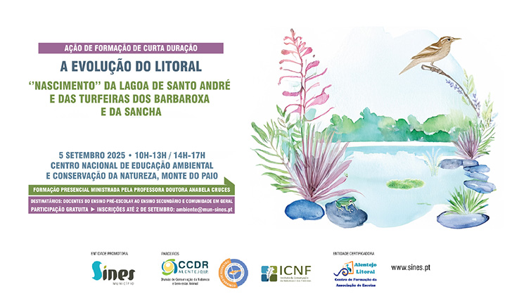 Ação de Curta Duração 