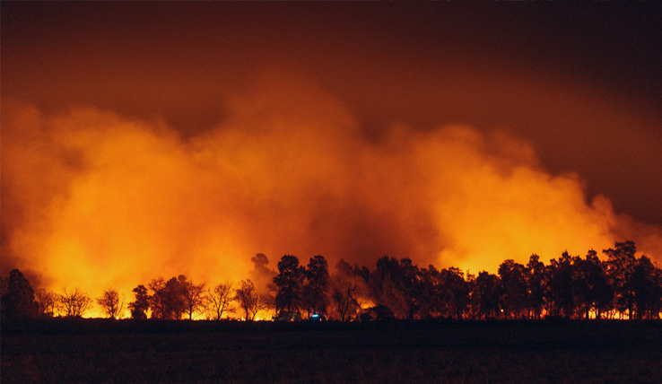 Incêndios provocam prejuízos na agricultura do Alentejo – Platafor