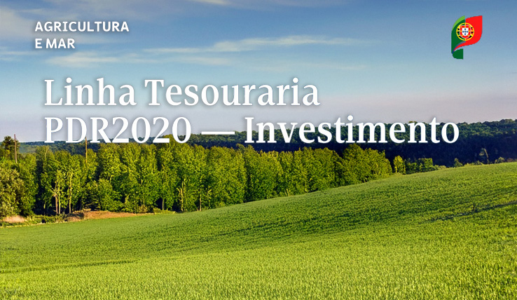 Linha Tesouraria PDR2020 - Investimento