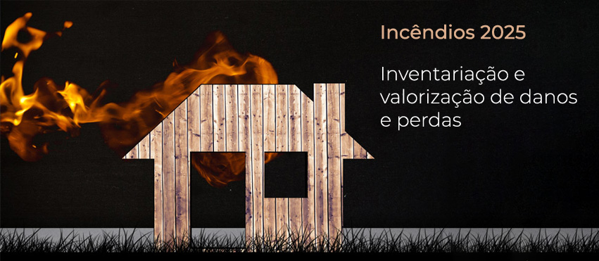 Incêndios 2025