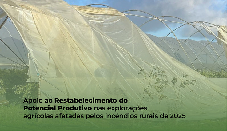 Apoio ao Restabelecimento do Potencial Produtivo nas explorações ag