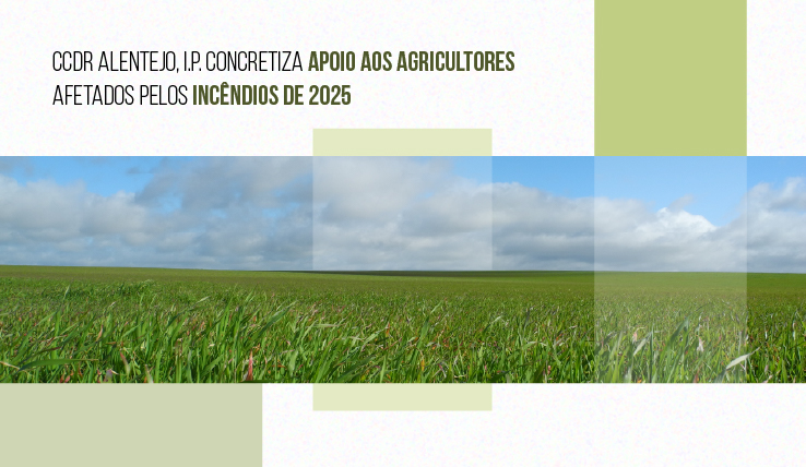 Estado cumpre no território: CCDR Alentejo concretiza apoio aos agric