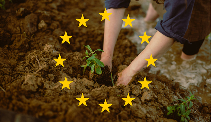 Governo simplifica gestão dos fundos europeus e altera o PEPAC