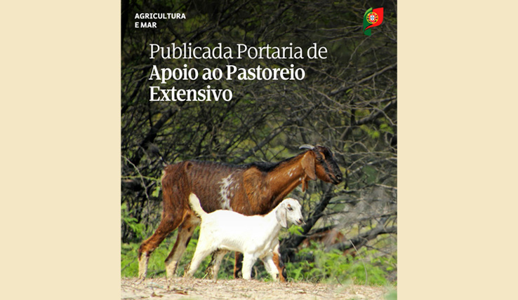 Publicada portaria de apoio à pastorícia extensiva e à gestão do t