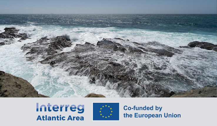 Rede ARMA impulsiona Estratégia para o Atlântico e prioridades de in