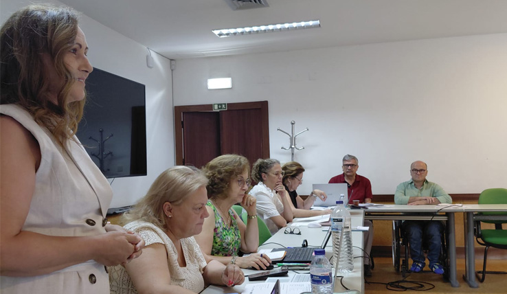 Colaboração entre entidades da administração publica do Alentejo p