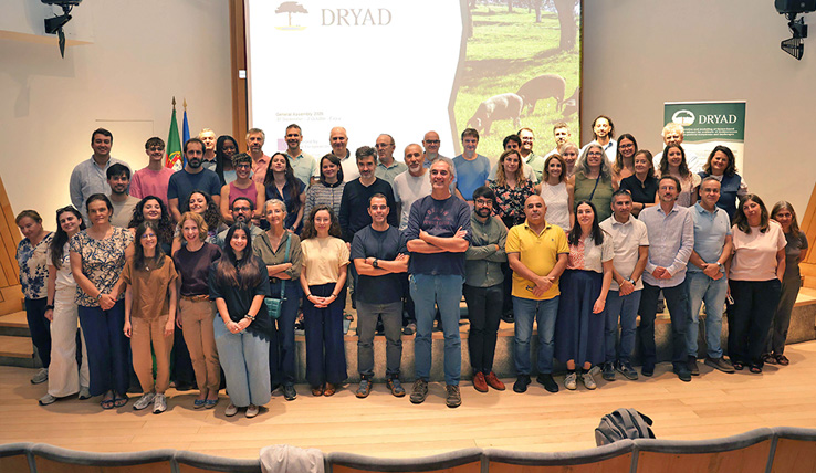 DRYAD reúne parceiros europeus em Évora para debater soluções inov